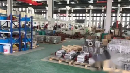 Capacitor da série Yl Ml Iniciar e operar Motor assíncrono elétrico CA de indução monofásica de alta eficiência premium
